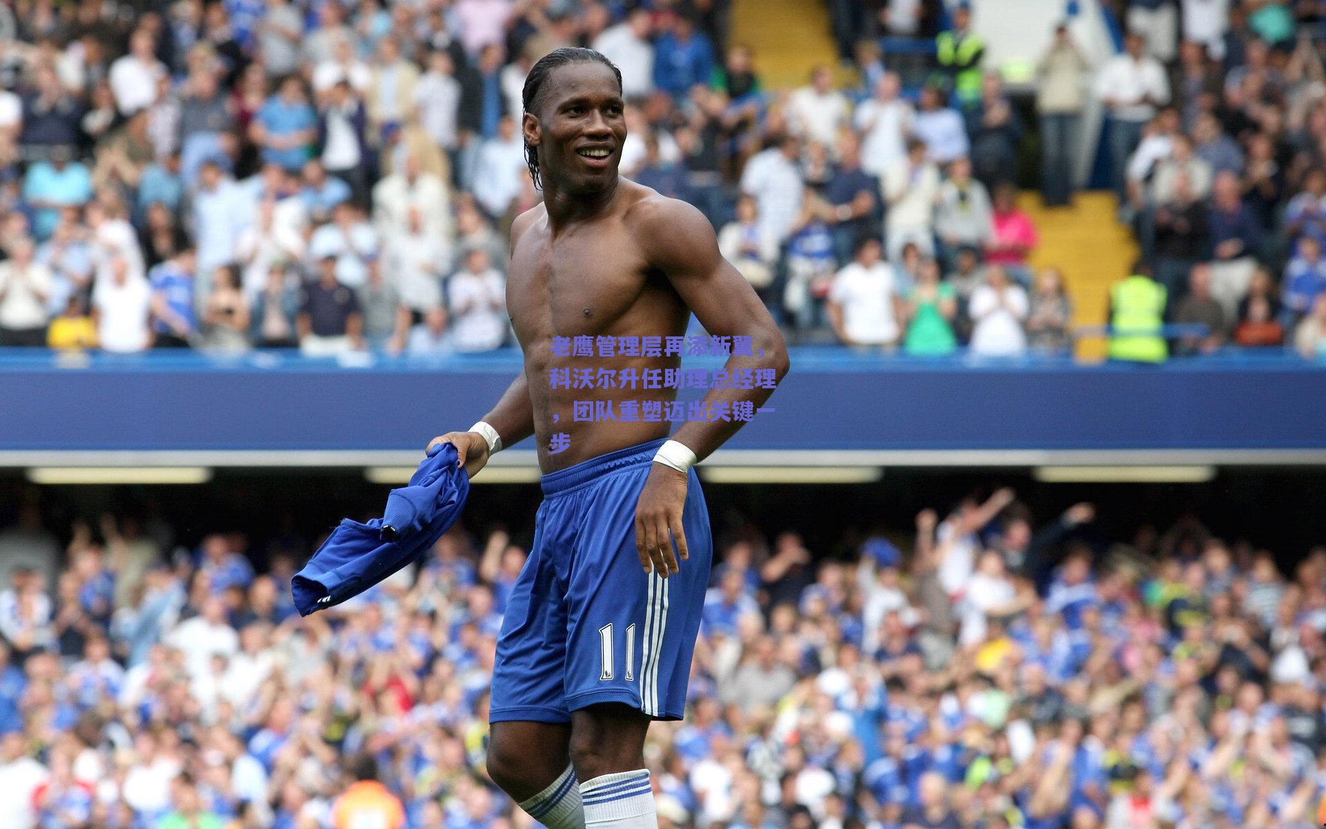 老鹰管理层再添新翼,科沃尔升任助理总经理,团队重塑迈出关键一步