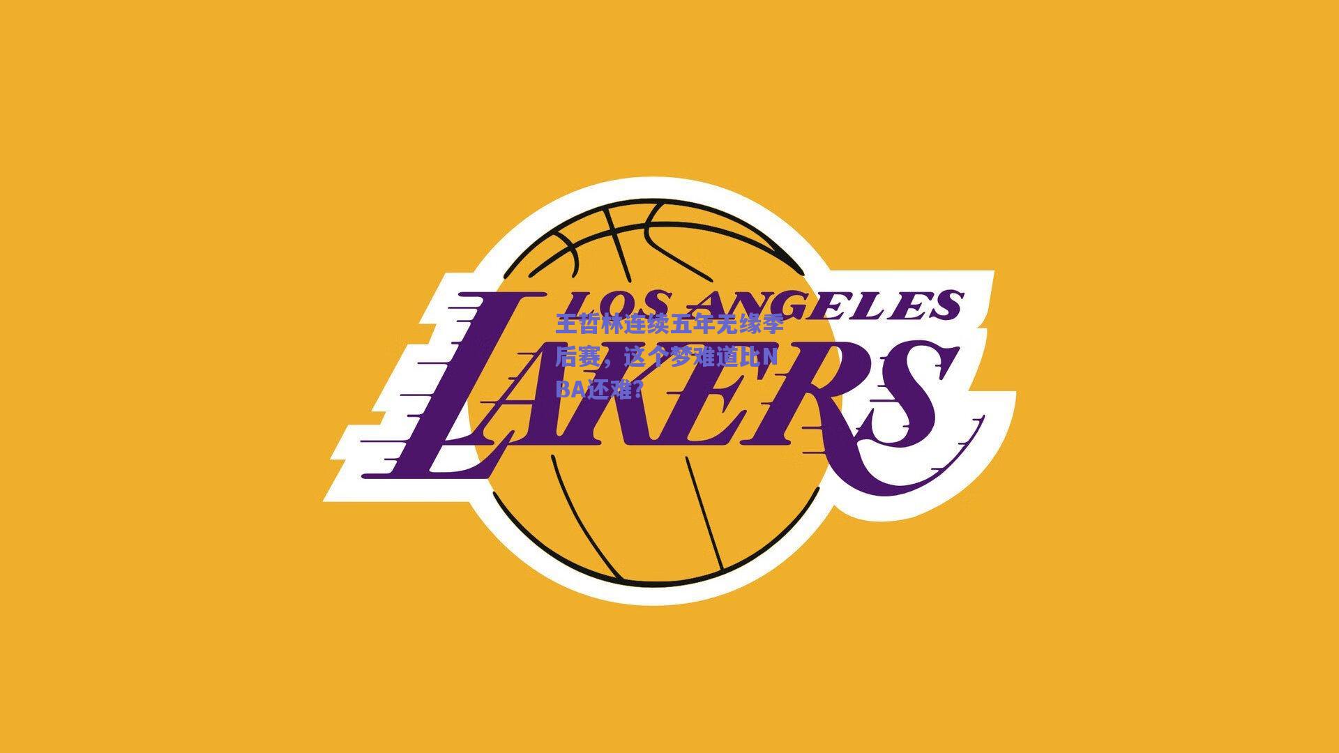 王哲林连续五年无缘季后赛，这个梦难道比NBA还难？